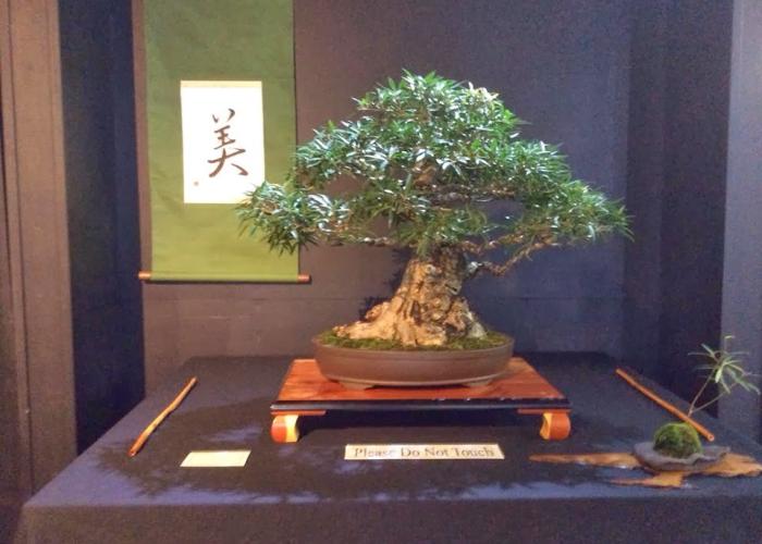 City of Davie South Florida Finds