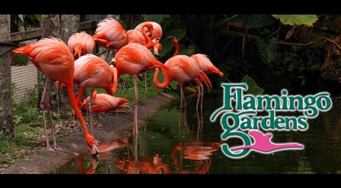Flamingo Gardens | South Florida Finds