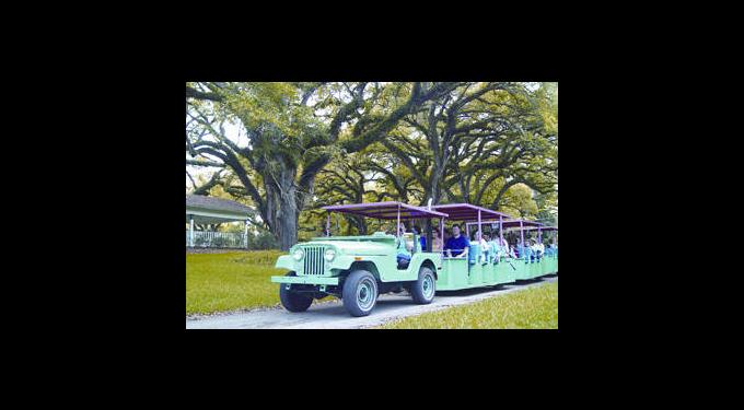 Flamingo Gardens | South Florida Finds